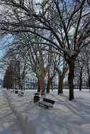 Park in the snow