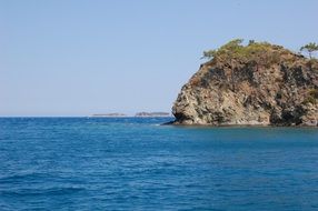 trees on a rock near the ocean