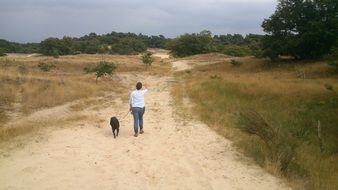 hiking landscape with woman and dog walking