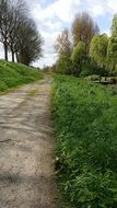 soil road in countryside at spring
