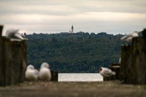 landscape of lake ammer with monastery