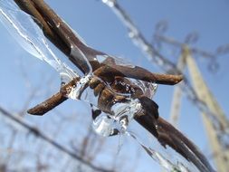 barbed wire in ice