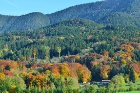 Landscape in the mountains with green forests