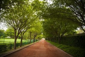 extraordinary beautiful green park