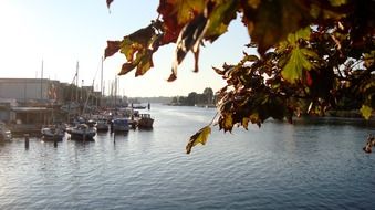 city river in autumn