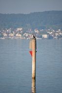 tower on the sea