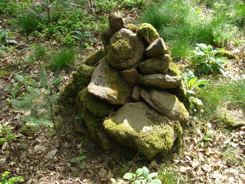 stone figure in the forest