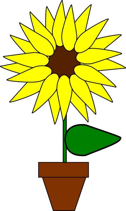 graphic image of a colorful sunflower in a flowerpot