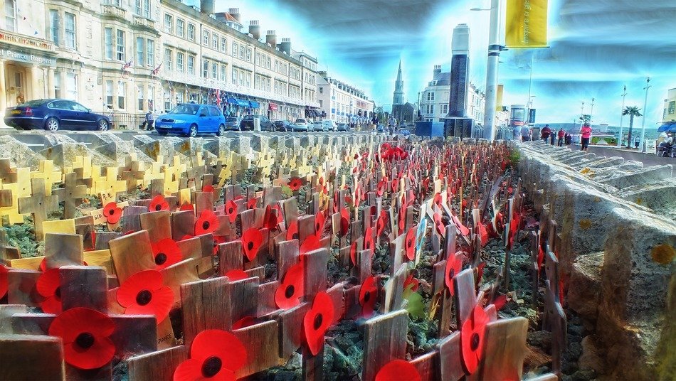 poppies flowers and wooden crosses