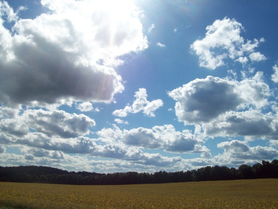 macedon landscape