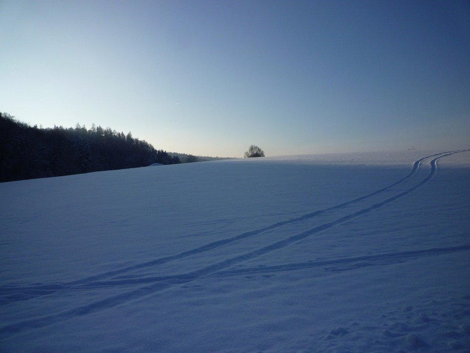 traces on the snow in the evening