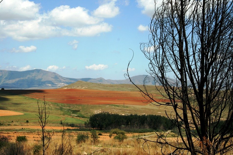 landscape with mountains