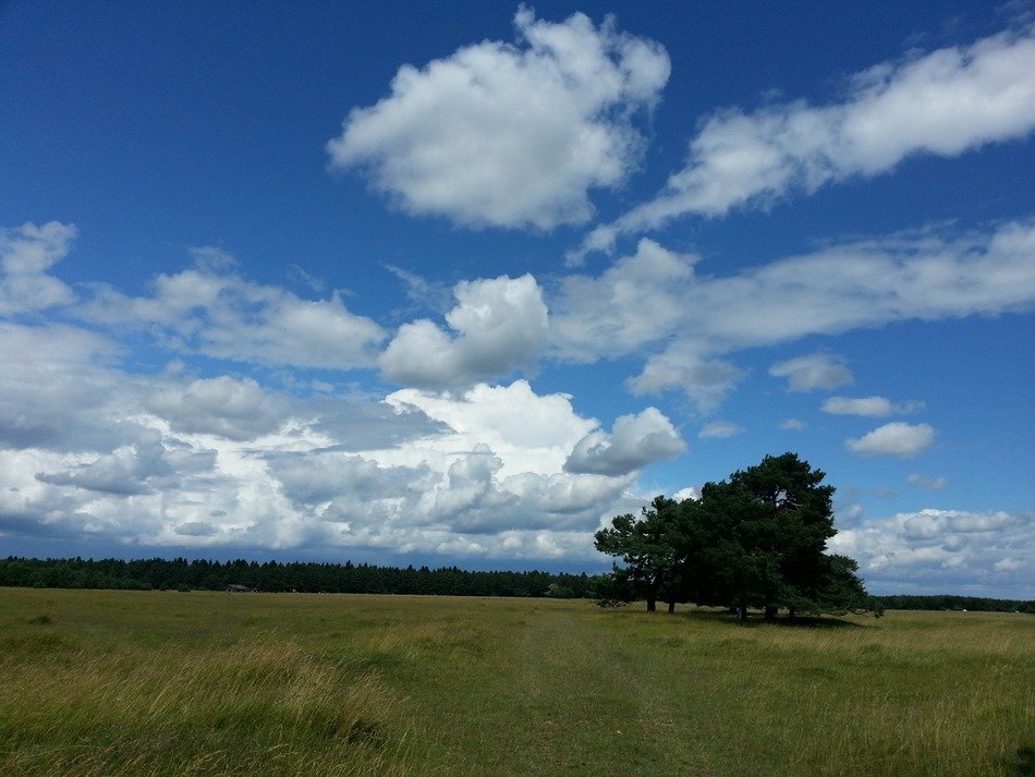 sky with white clouds over the wasteland