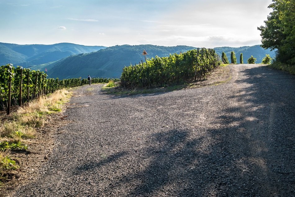 road near the vineyards