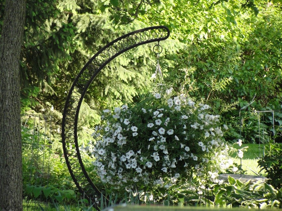 hanging planter with white flowers in the garden