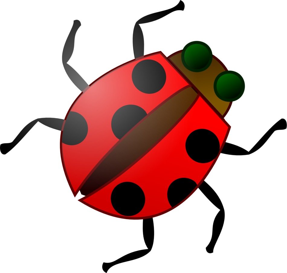 Red ladybug in wildlife clipart
