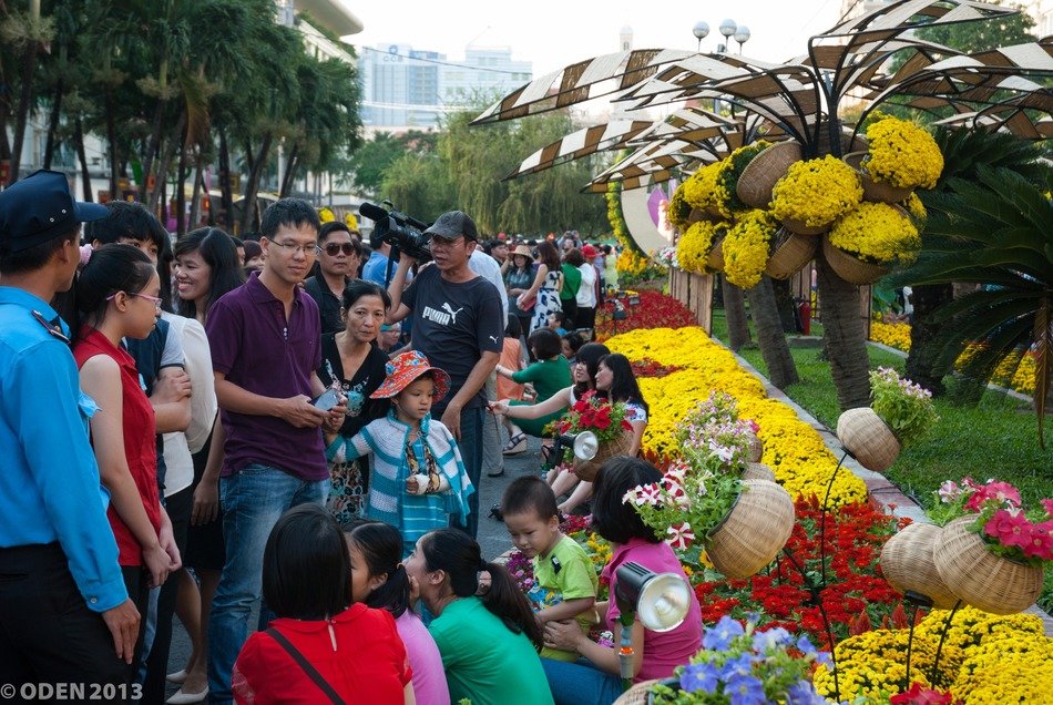 crowded park at the time of flowering