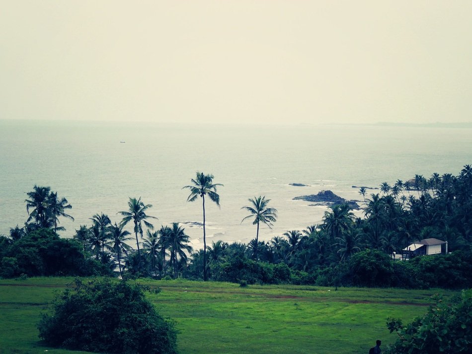 tropical beach green