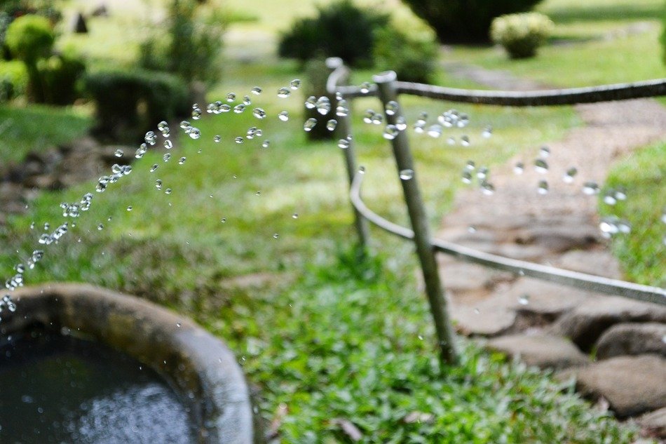 Drops of water in the garden