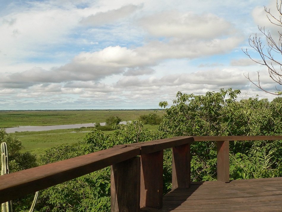 Landscape of the bridge in summer