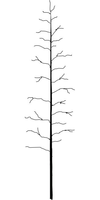illustration of the leafless tree