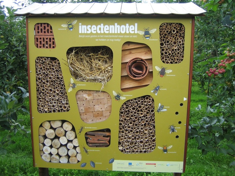 insects hotel outdoors