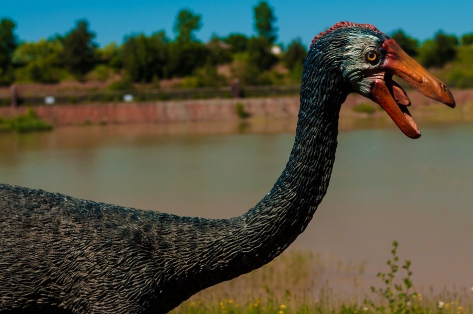 model of a pterodactyl in the park