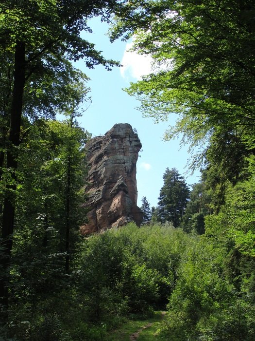 view of the rock through a green forest in Germany