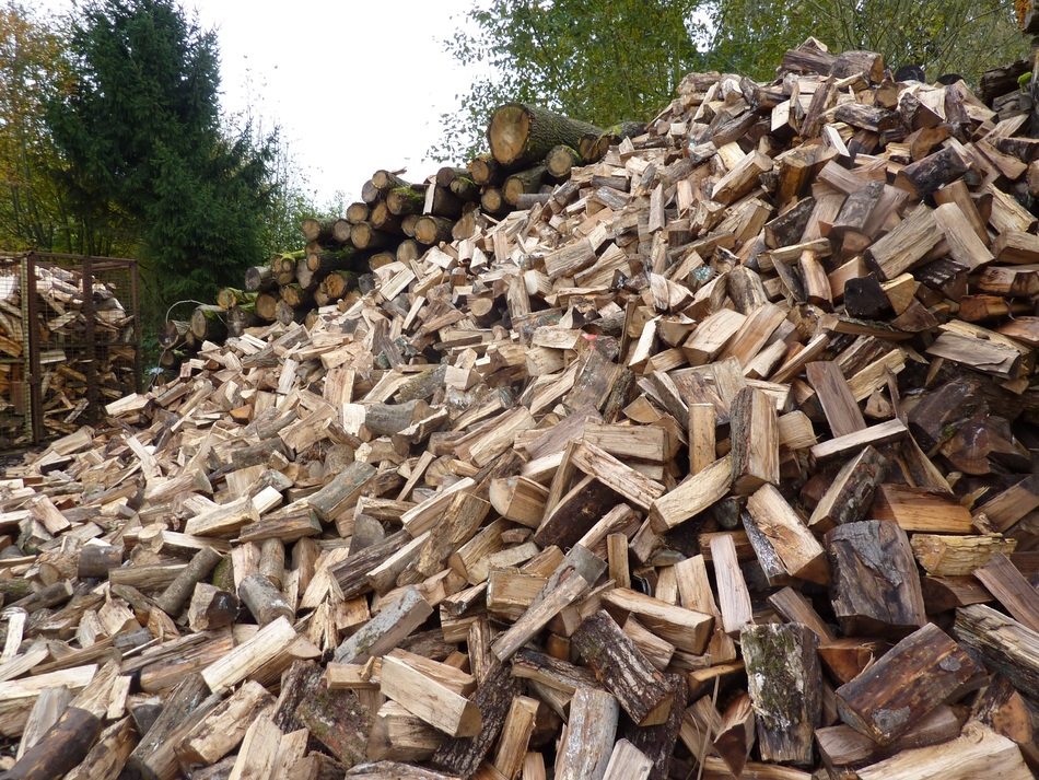 big mountain of wood