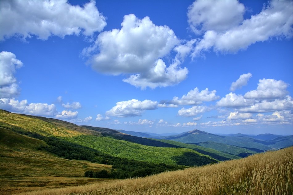 landscape of Bieszczady on a sunny day