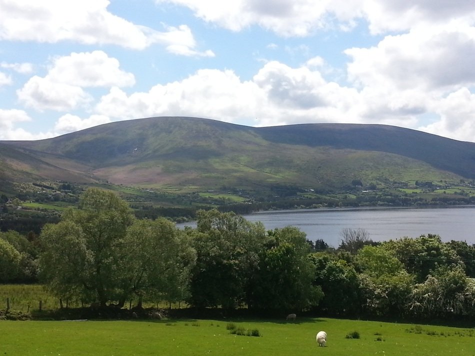 Remote view of the lake on the background of beautiful nature