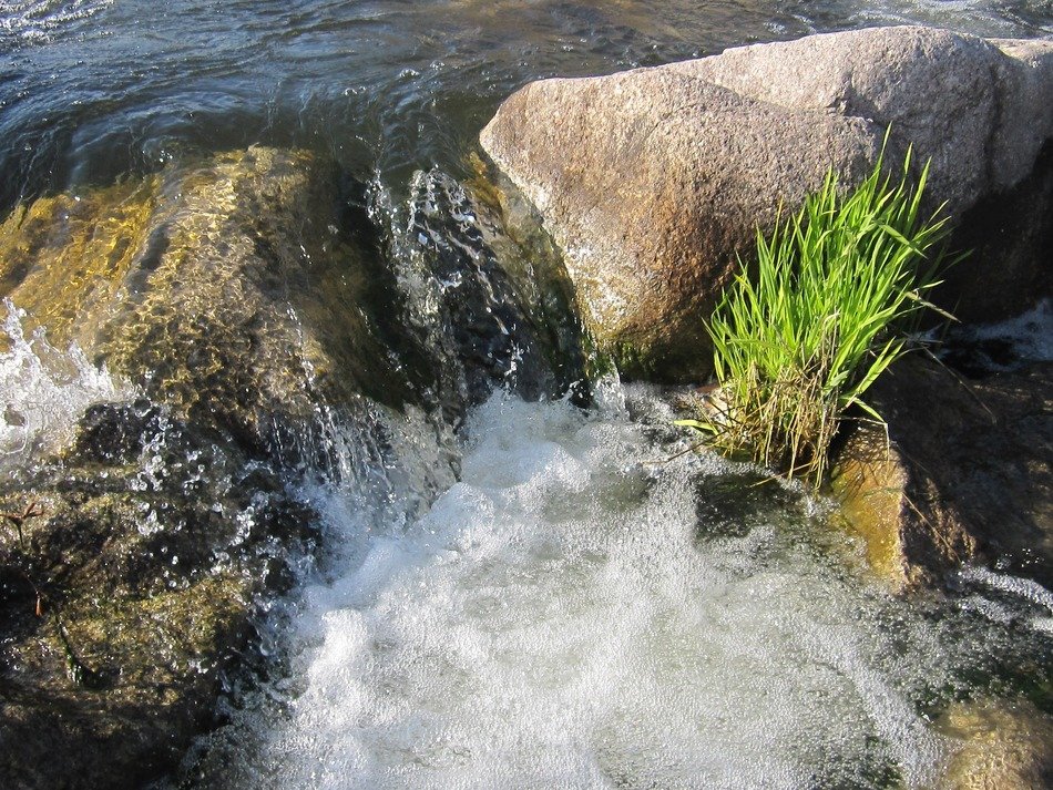 swirl on the creek