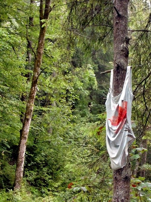 swimsuit on tree in forest