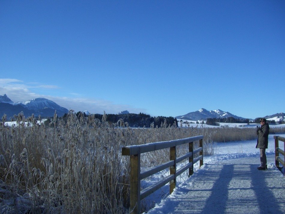 wooden bridge on a background of alpine panorama
