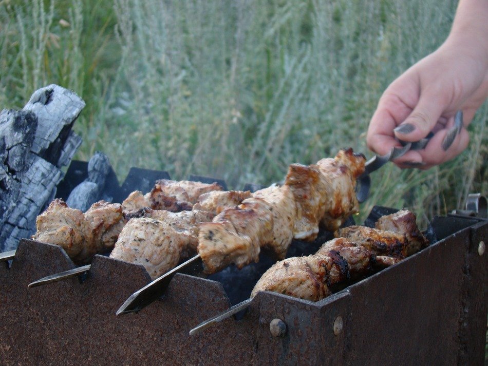 shish kebab on the mangal