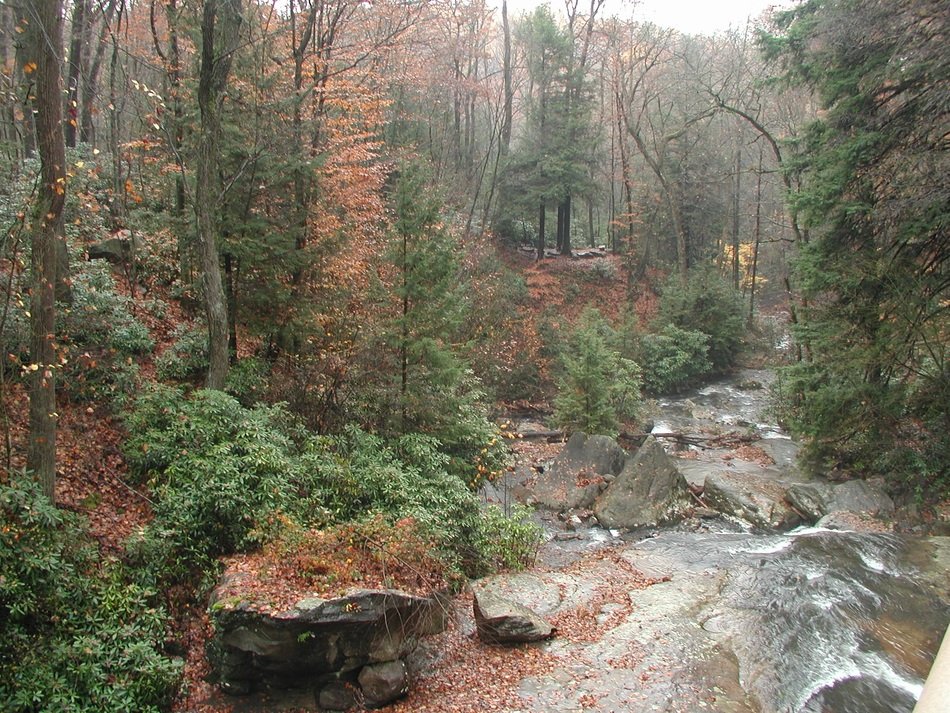landscape of waterstream of the nature