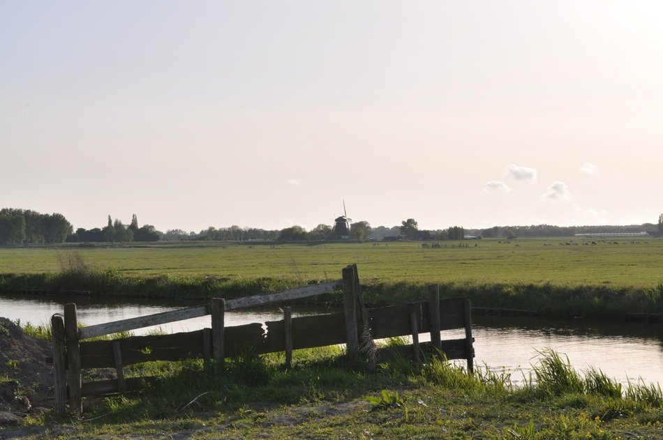 landscape of wood fence on the green meadow