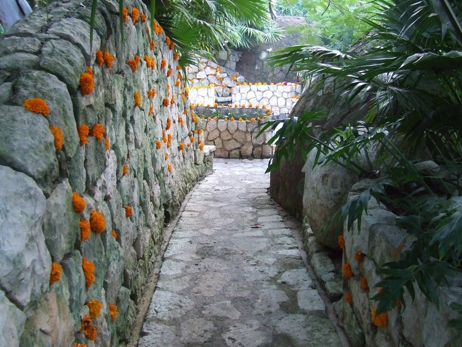 marigolds on a stone wall in the garden