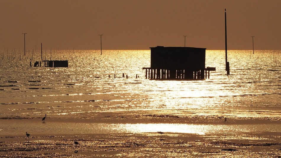 sunlight on the water