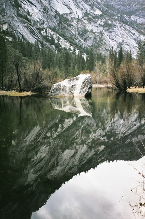 Reflexion of mountains and trees in a water