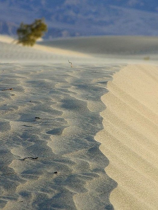 Landscape of the desert