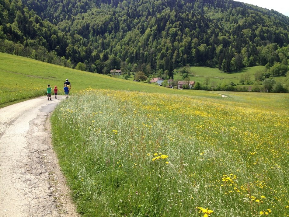 romantic hiking path in spring
