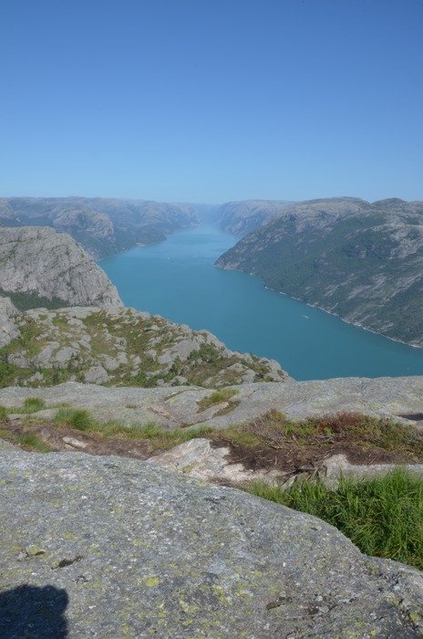 Landscape of the beautiful fjord with green plants