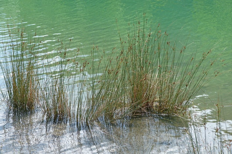landscape nature water green