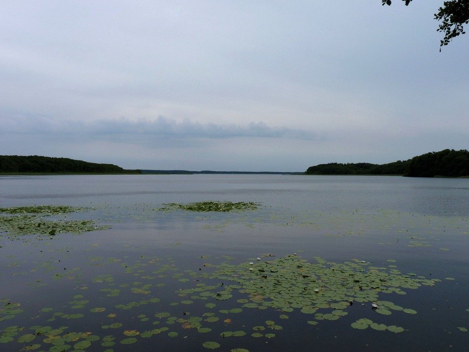 photo of a lake in Mecklenburgische Seenplatte, Germany