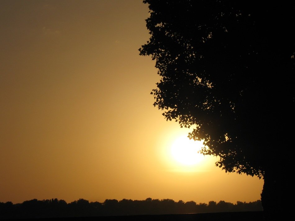 Landscape of the Ukrainian countryside