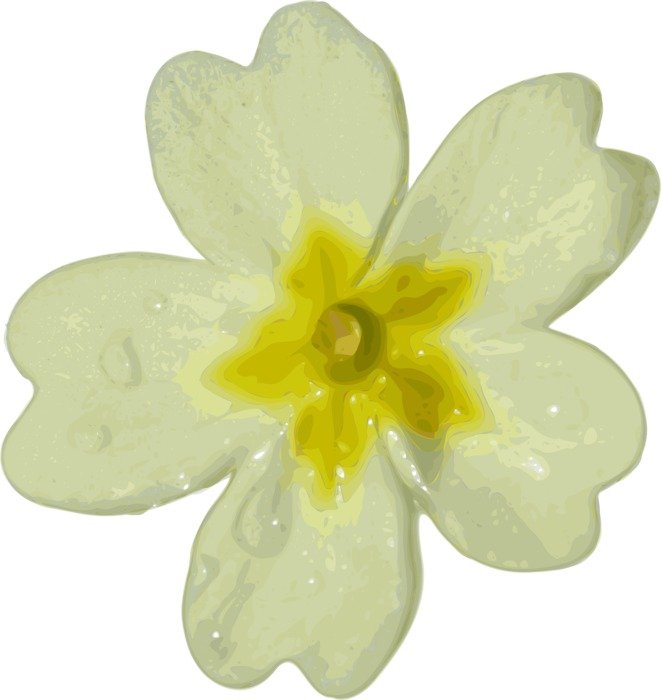 graphic image of a white snowdrop