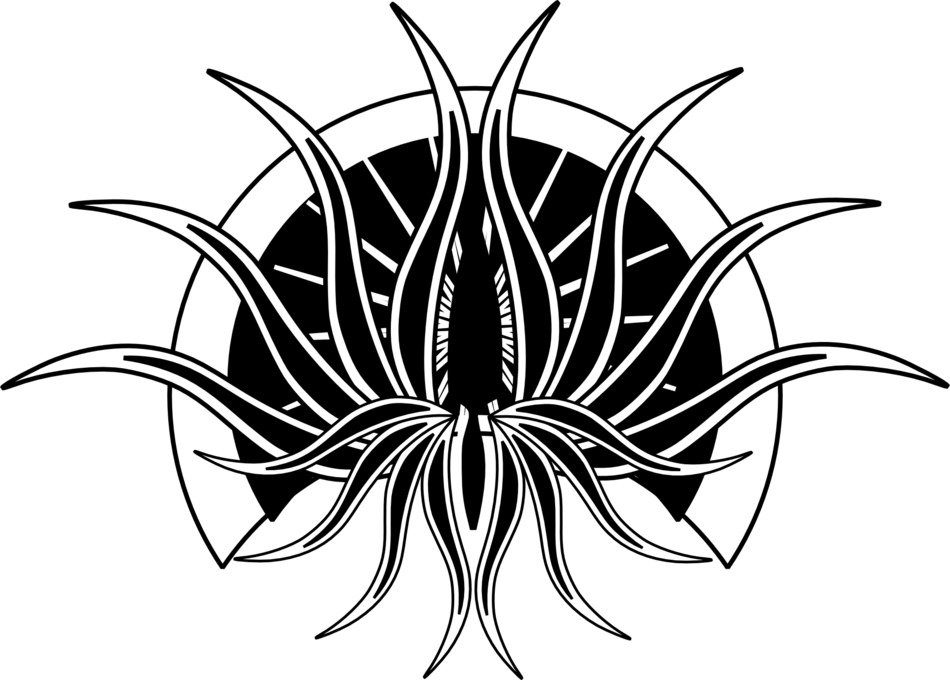 Black and white decoration with a plant at white background