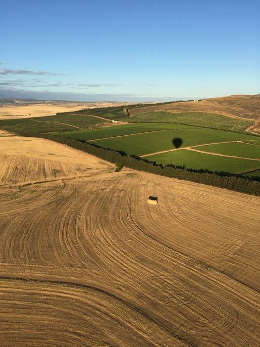 arable field in Paarl, South Africa