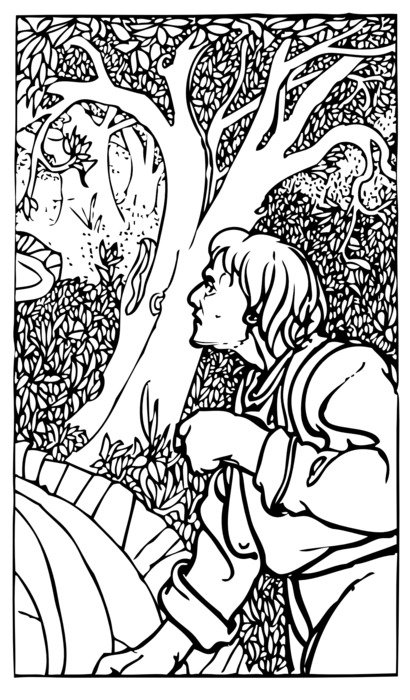 man in the forest drawing